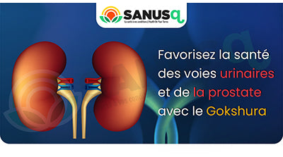 Favorisez la santé des voies urinaires et de la prostate avec la Gokshura