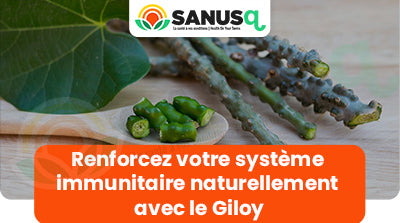 Renforcez votre système immunitaire naturellement avec le Giloy