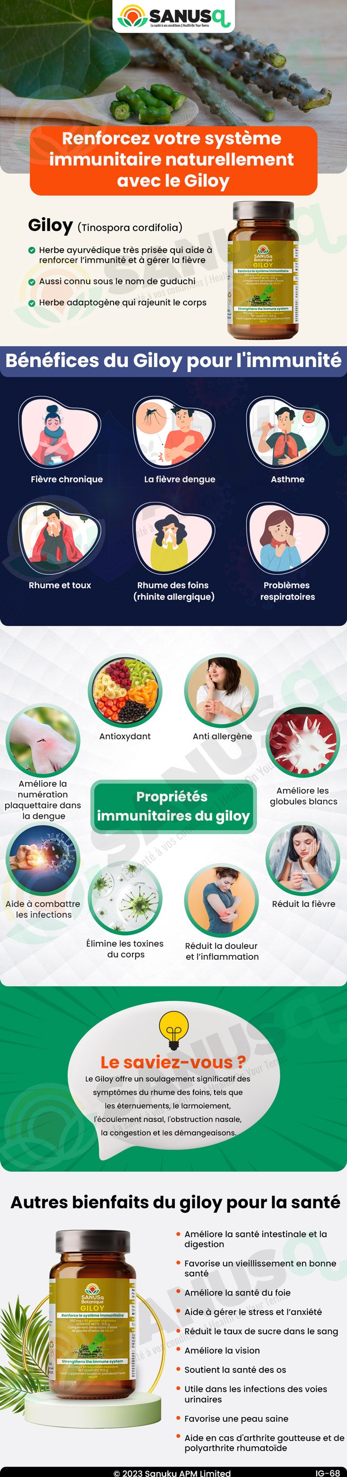 Renforcez votre système immunitaire naturellement avec le Giloy