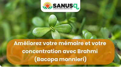 Améliorez votre mémoire et votre concentration avec Brahmi (Bacopa monnieri))