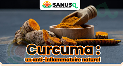 Curcuma : un anti-inflammatoire naturel