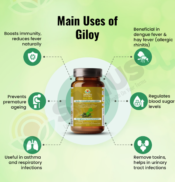 Main benefits of Giloy