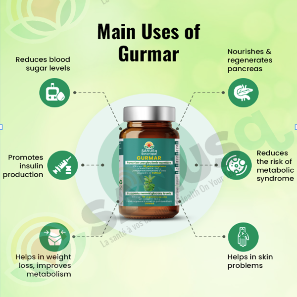 Main benefits of Gurmar