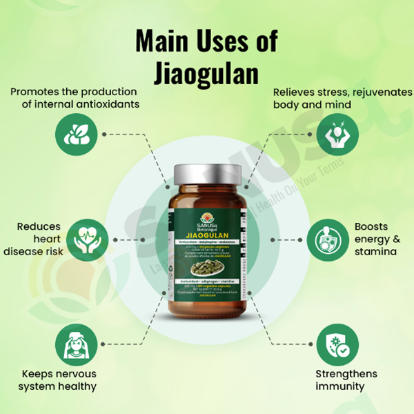 Main benefits of Jiaogulan
