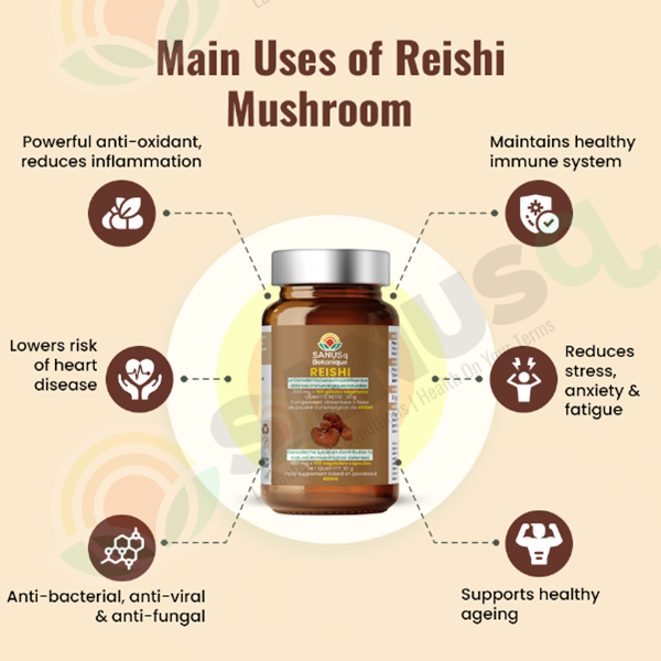 Main benefits of Reishi