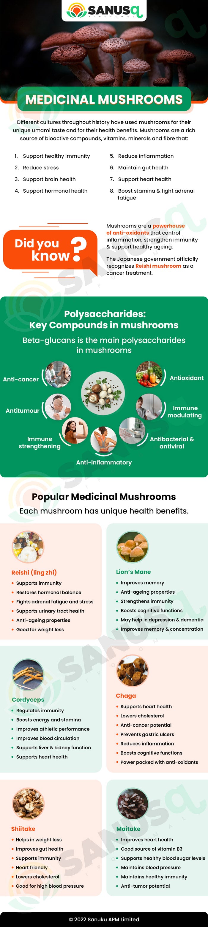 are medicinal mushrooms the new power food?