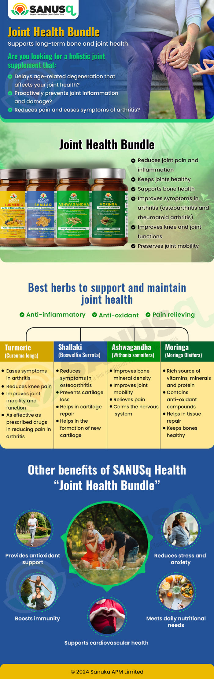 holistic joint supplement