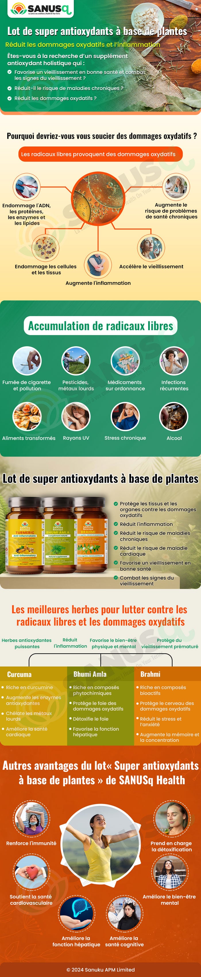 Lot de super antioxydants à base de plantes