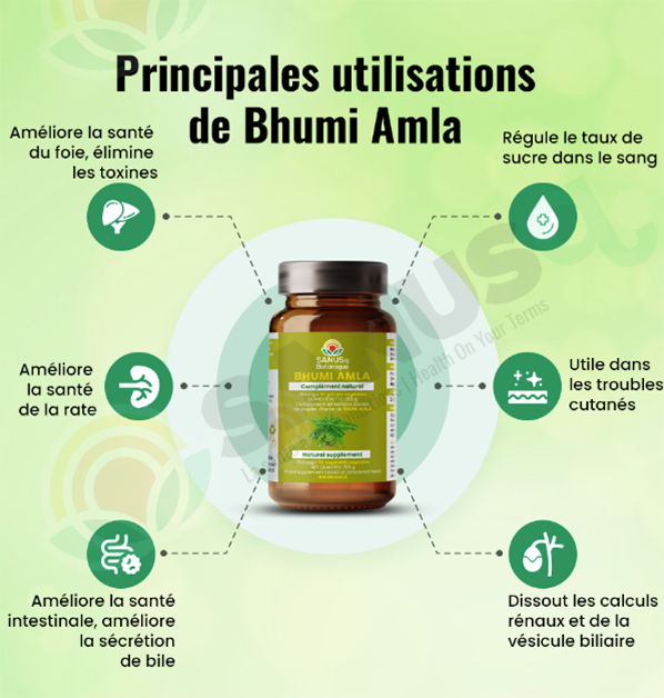 Principales utilisations du Bhumi Amla