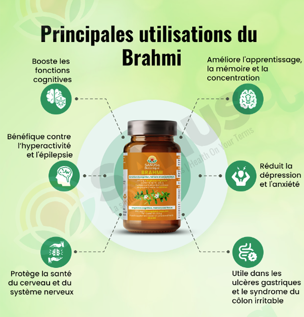 Principales utilisations du Brahmi