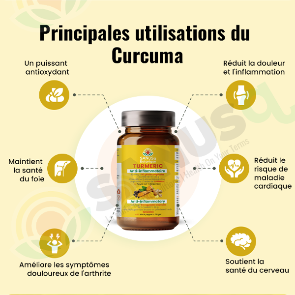 Principales utilisations du Curcuma