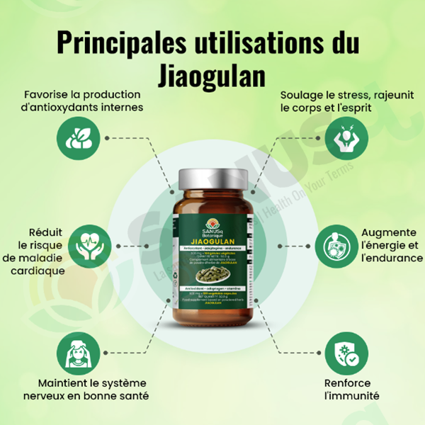 Principales utilisations du Jiaogulan