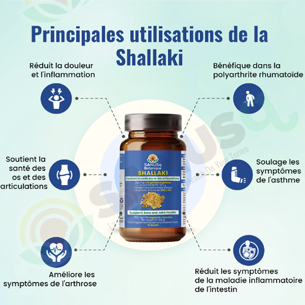 Principales utilisations du Shallaki