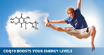 Coq10-energy-levels-blog.jpg