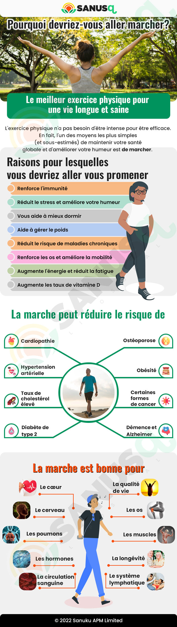 porquoi devriez-vous aller marcher?