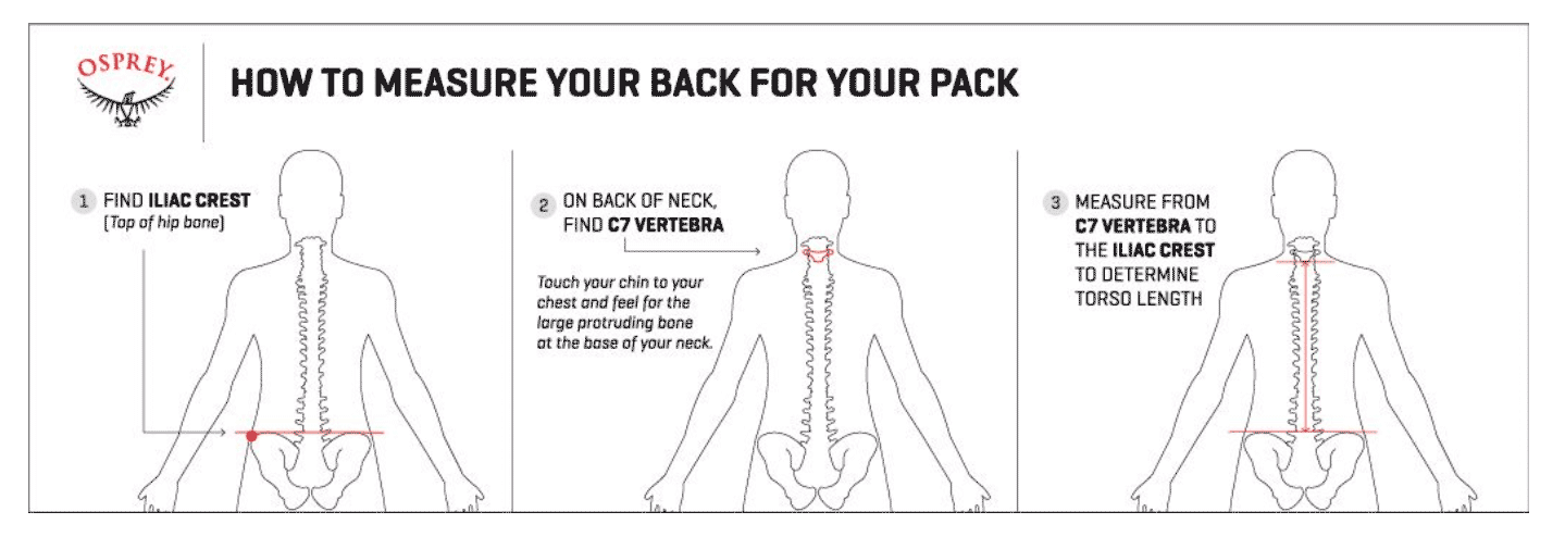 Osprey Pack Size Chart - How to measure torso length