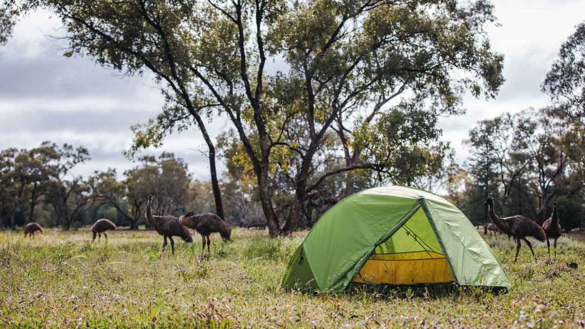 Lightweight camping shelter buyers guide tents 1