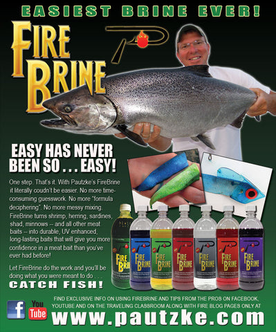 Time to Run Cut Bait For Great Lakes Salmon - Pautzke Bait Co