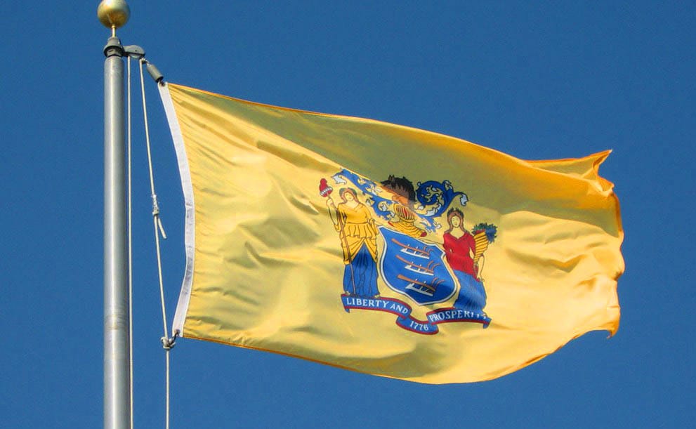 new jersey state flag