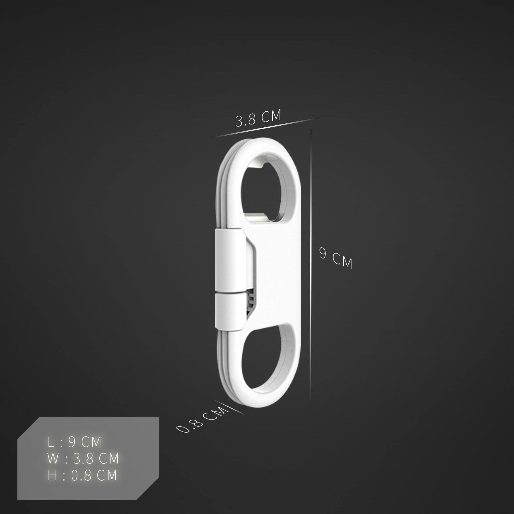 Iphone鑰匙手機線 Futurelab