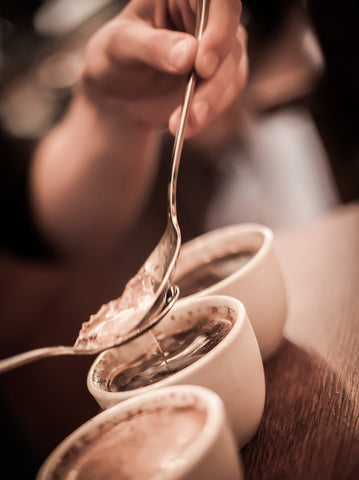 Coffee Cupping