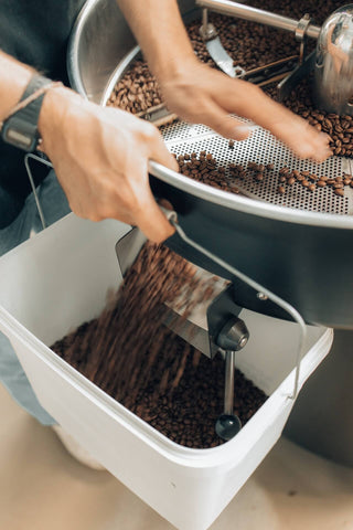 un tostador recoge con cariño los granos de café