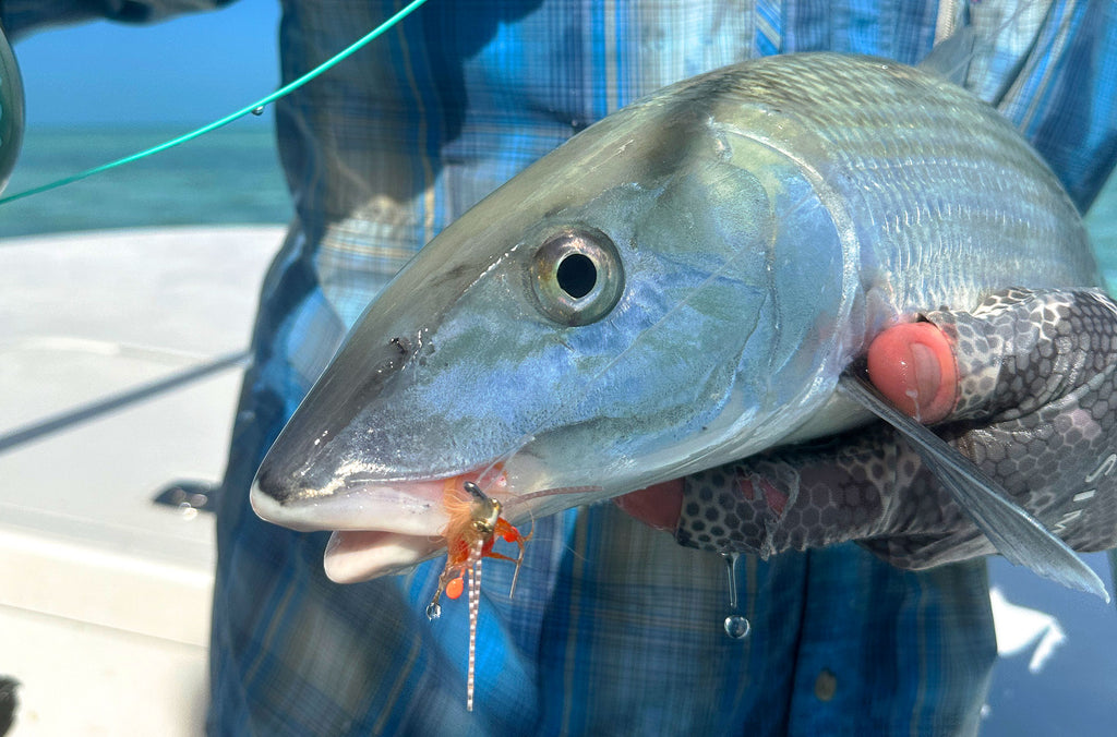 Best Flies for Cuba Fly Fishing