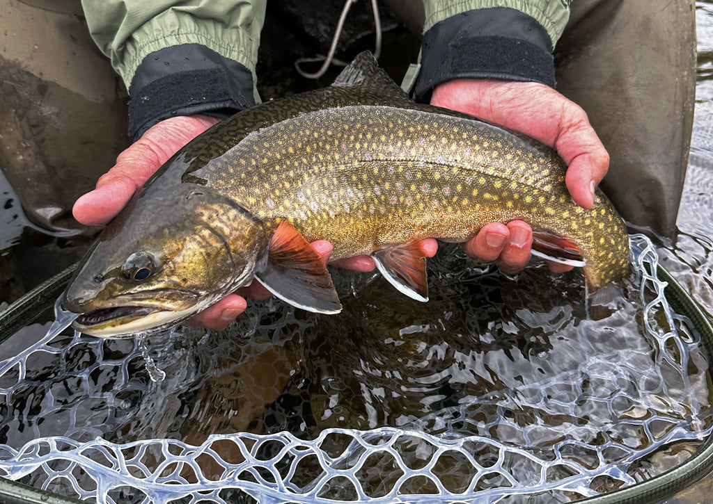 Maine Fishing Report July 2023 Brook Trout Landlocked Salmon Striped Bass