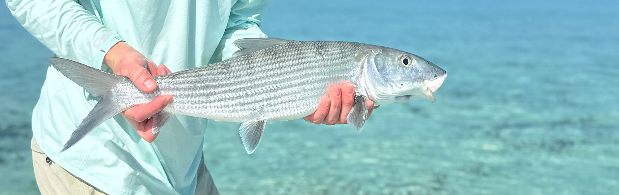 Fly Fishing Cuba Bonefish Permit Tarpon