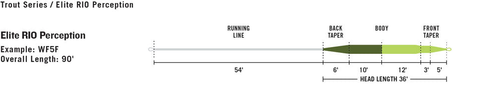 Elite Rio Perception Fly Line