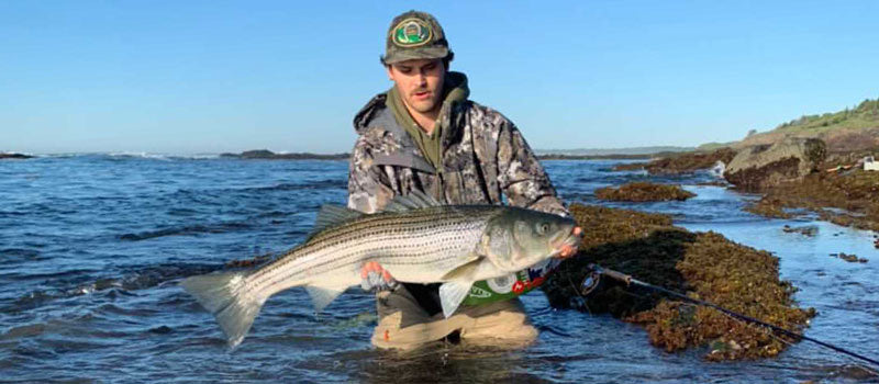 WADING in the river at NIGHT for MONSTER STRIPED BASS 