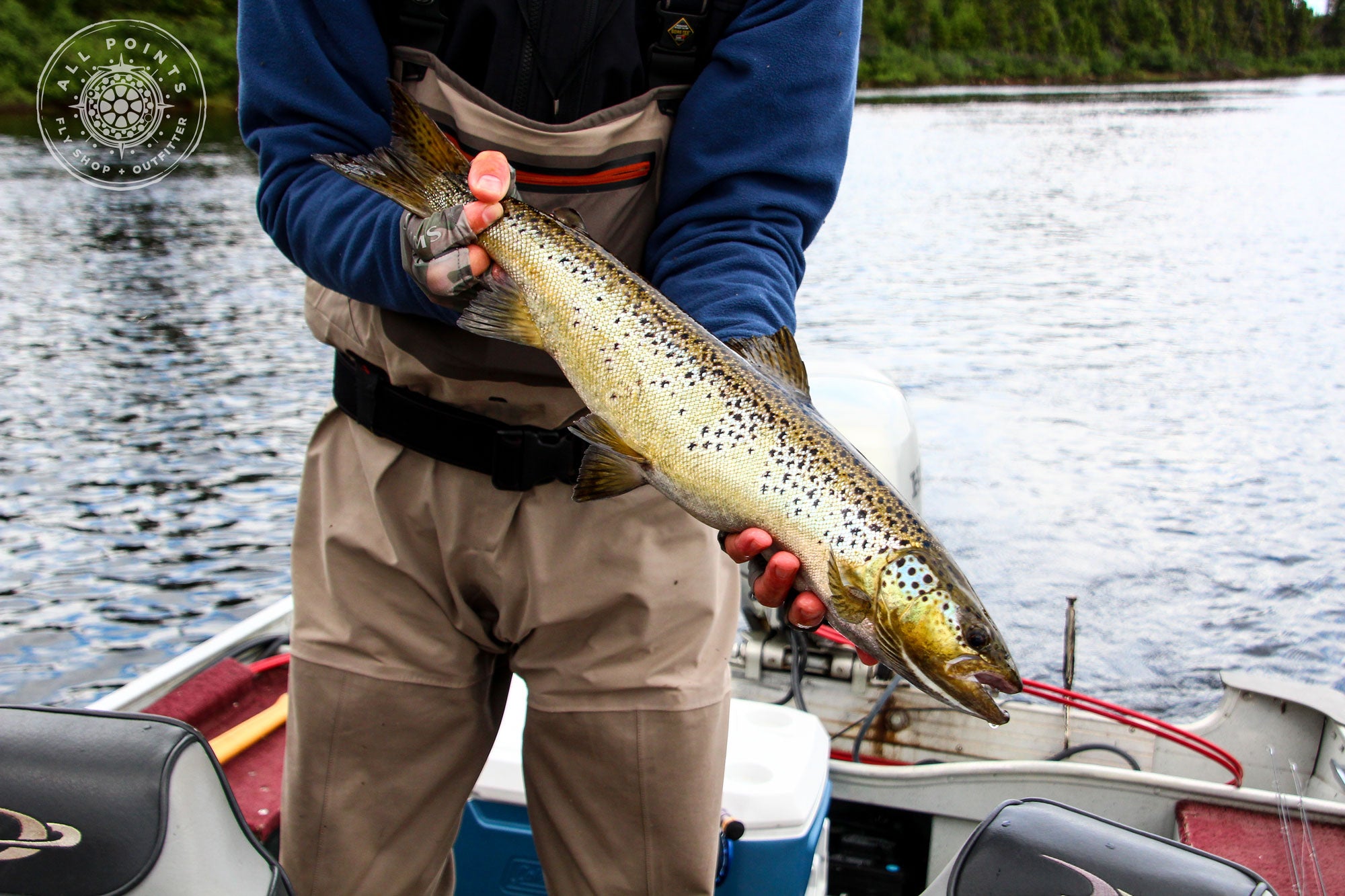 Galvan Fly Reels Fly Fishing Labrador Canada