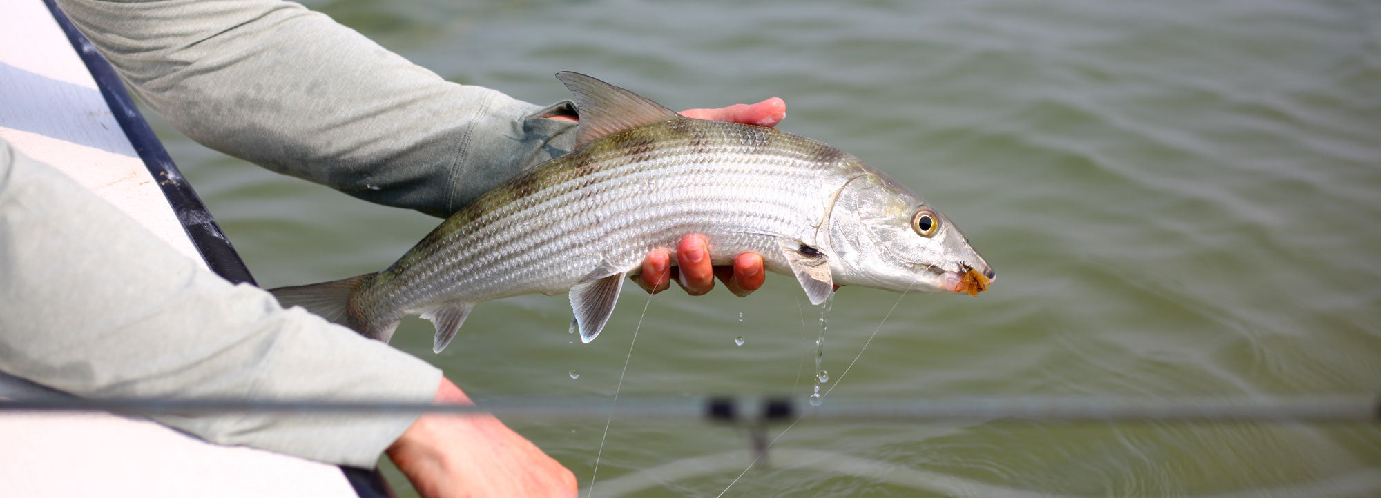 Fly Fishing Turneffe Flats Belize