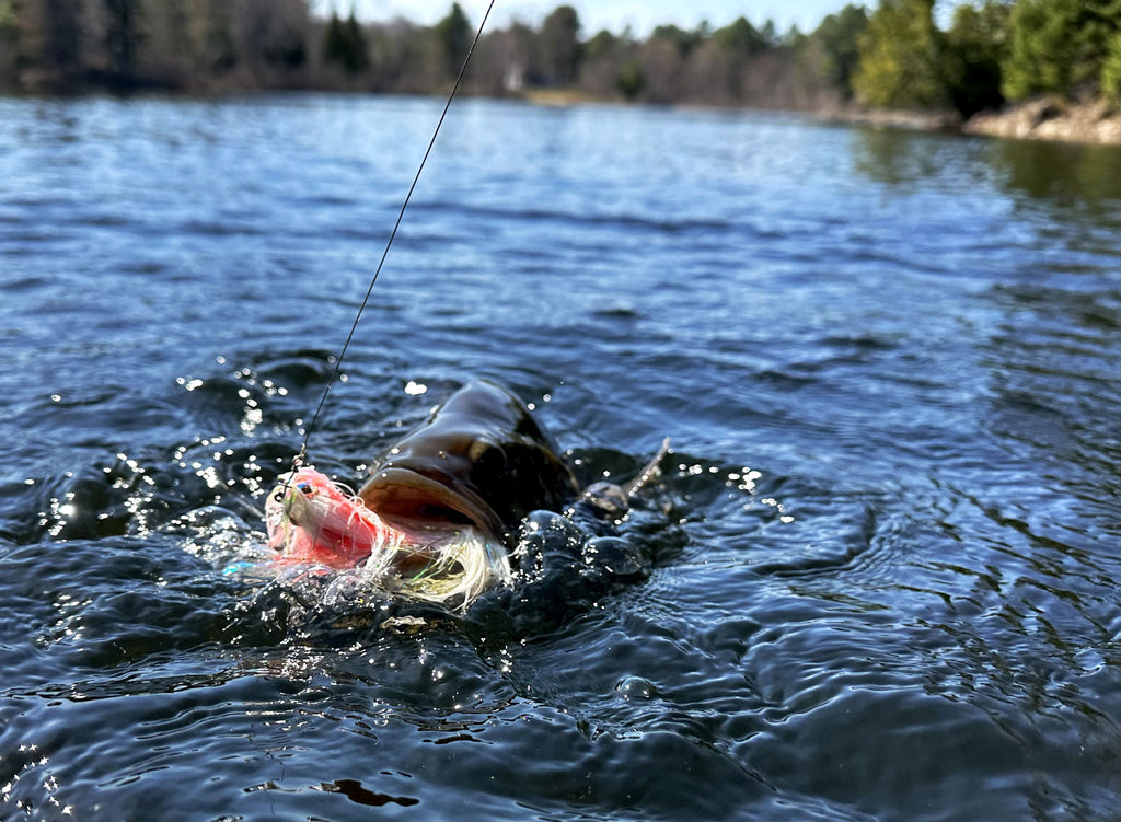 Maine Fishing Report April 2023