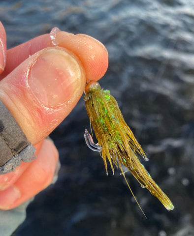 Fly Fishing in Maine: February and March– All Points Fly Shop + Outfitter