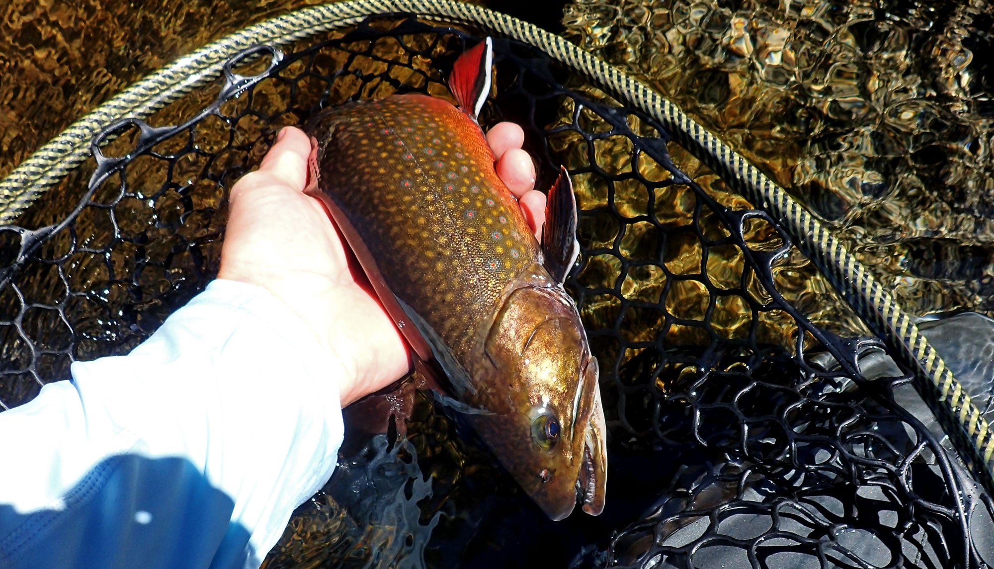 Maine Fishing Report September 2022 Brook Trout