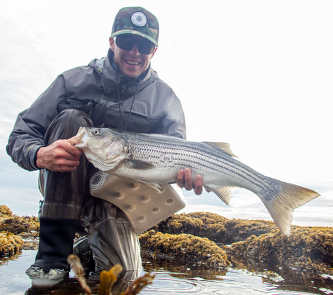 Maine Fly Fishing  Smallmouth Bass & Landlocked Salmon 