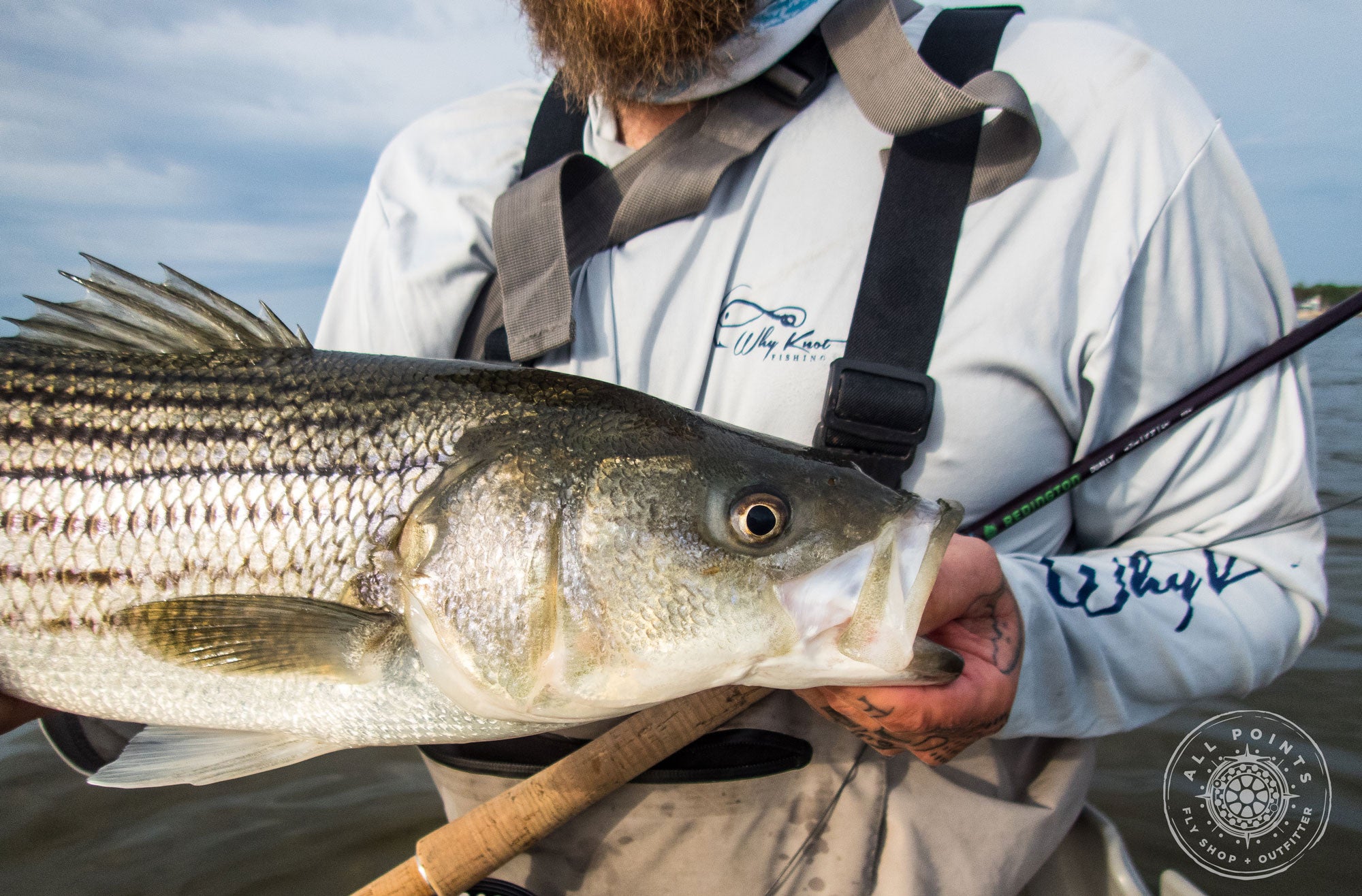 Redington Dually Fly Rod Review