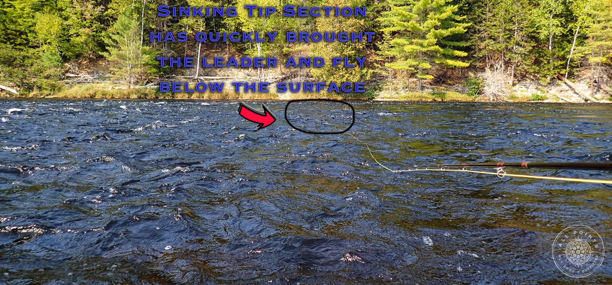 3 Reasons To NOT Use Tapered Leaders When Fishing A Sinking Line– All  Points Fly Shop + Outfitter