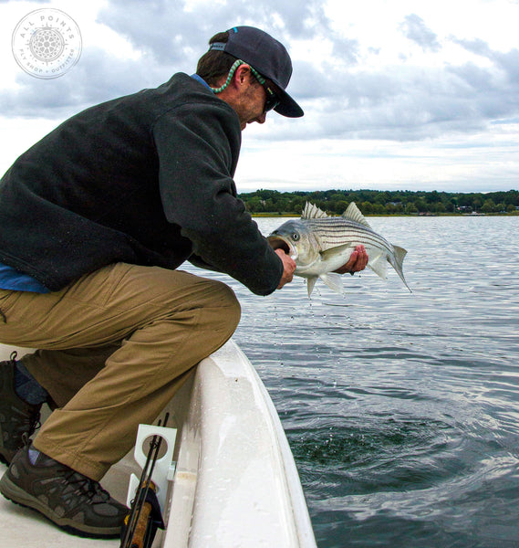 Maine Fly Fishing - Guided