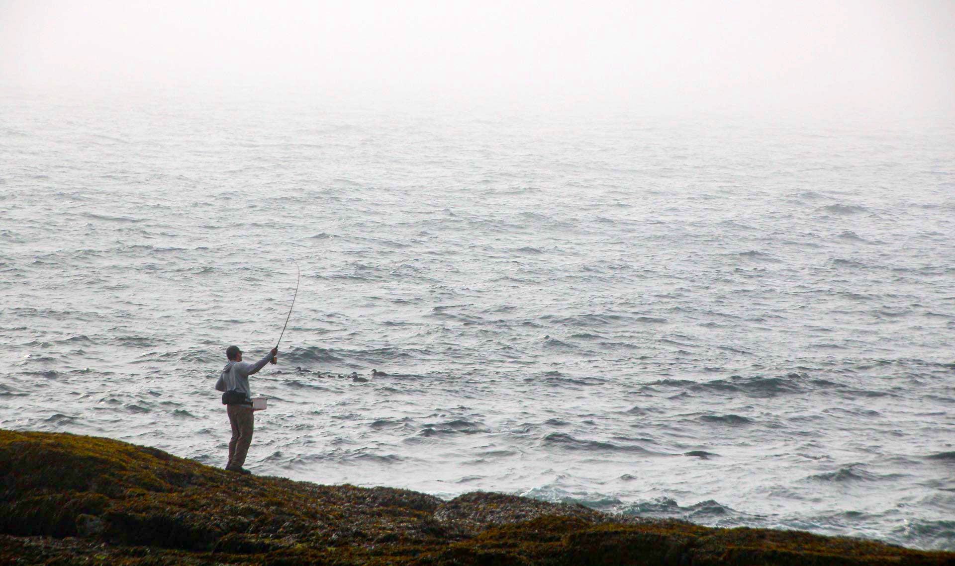 Fly Fishing for Striped Bass in Maine
