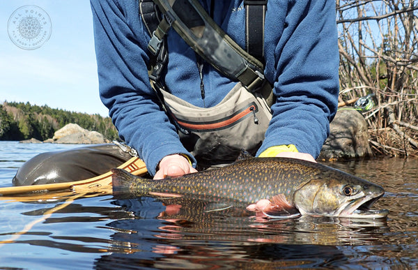 Maine Fly Fishing Trips - Guided