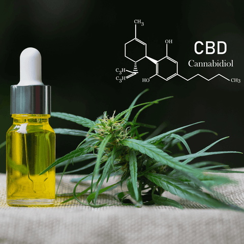 Ein Fläschchen CBD Öl mit einer Pipette in Nahaufnahme.