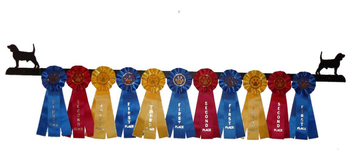 showoff ribbon rack