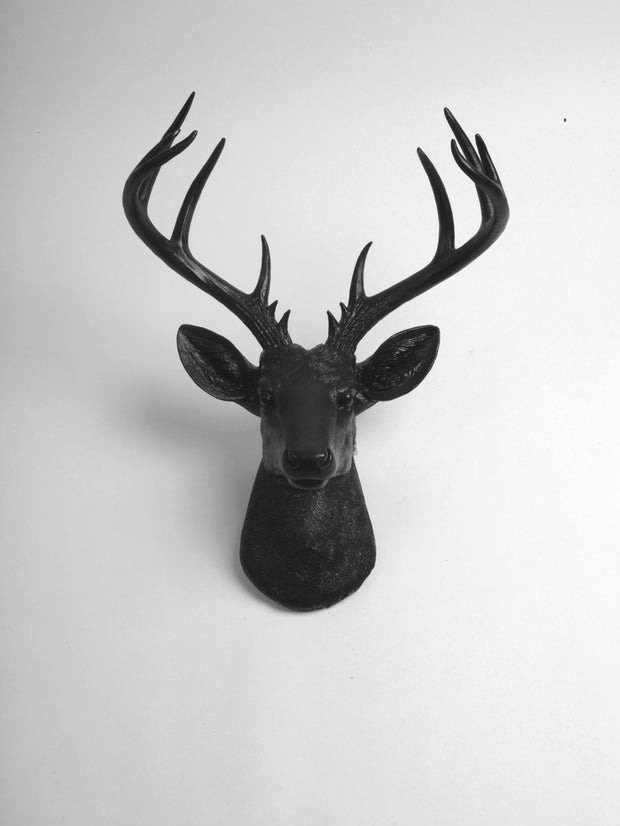 Black Deer Head Wall Mount The XL Ignatius 21 Tall   XL Black Deer Head 620x.JPG