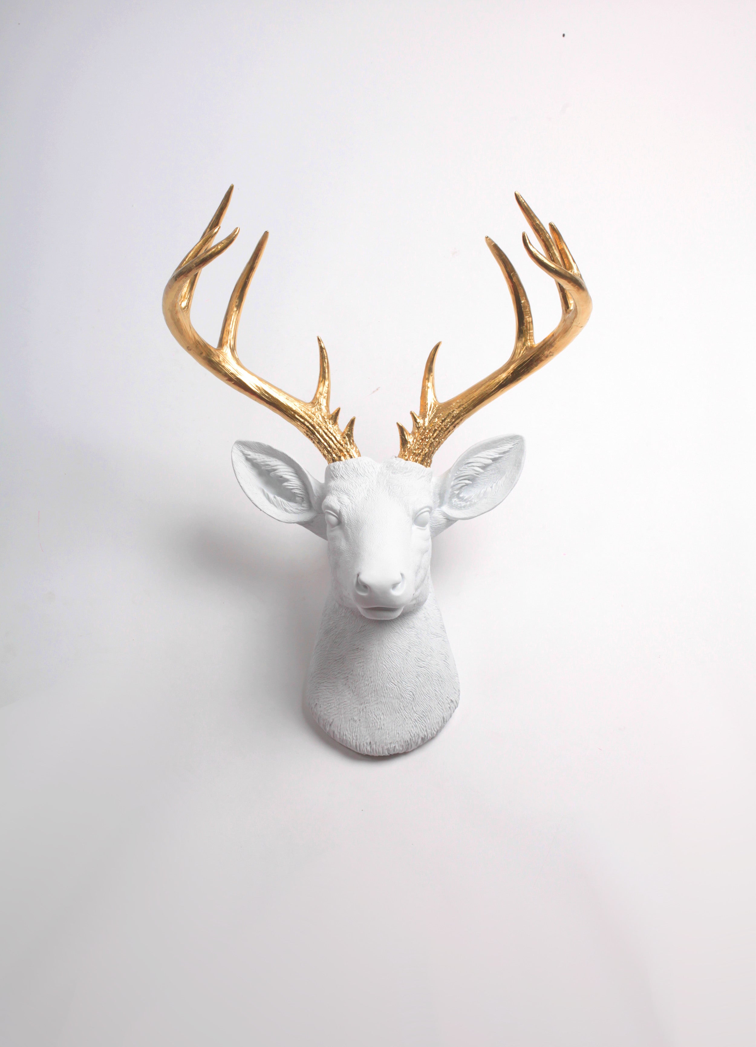 Buy White Deer Head Wall Sculpture from US