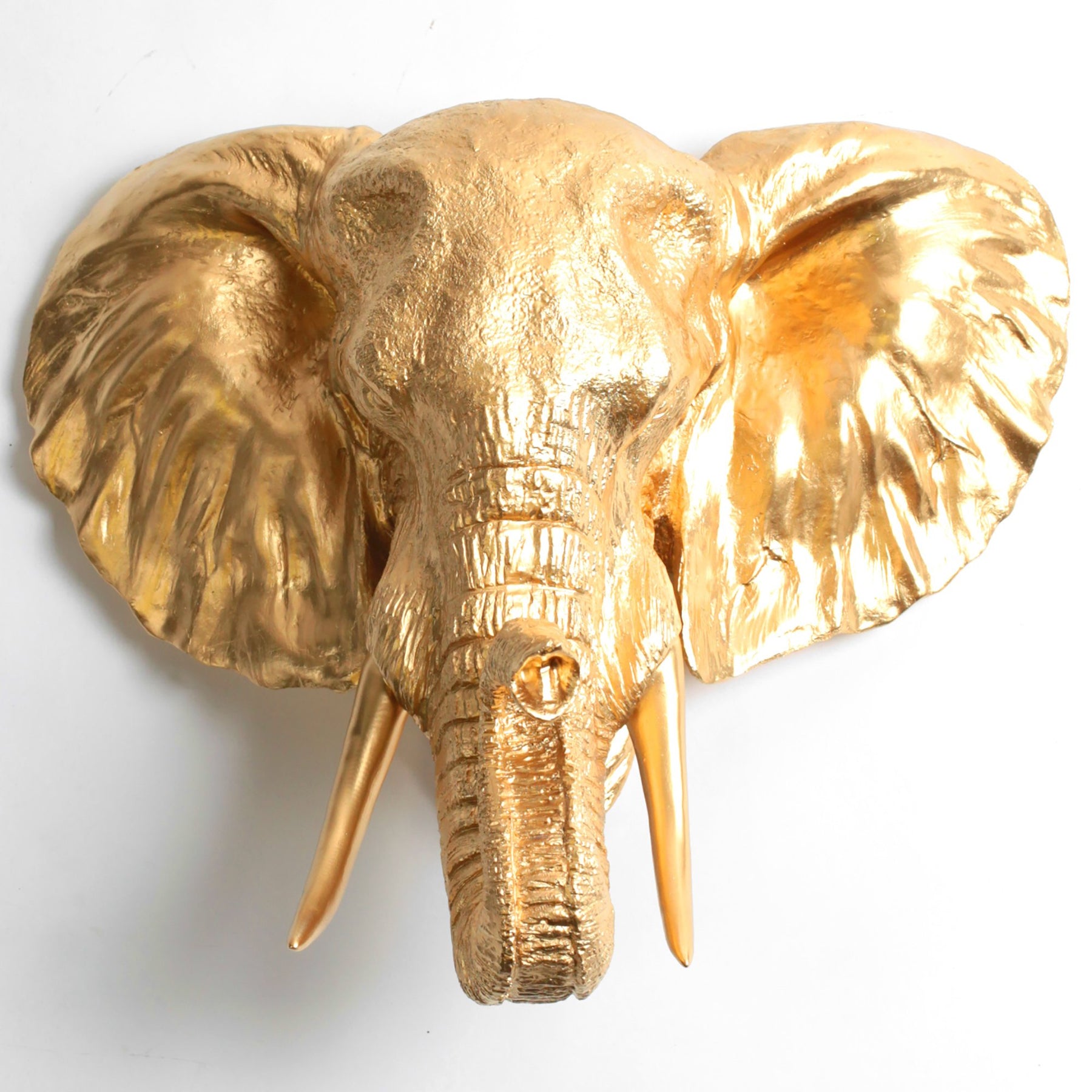 stuffed elephant head wall mount