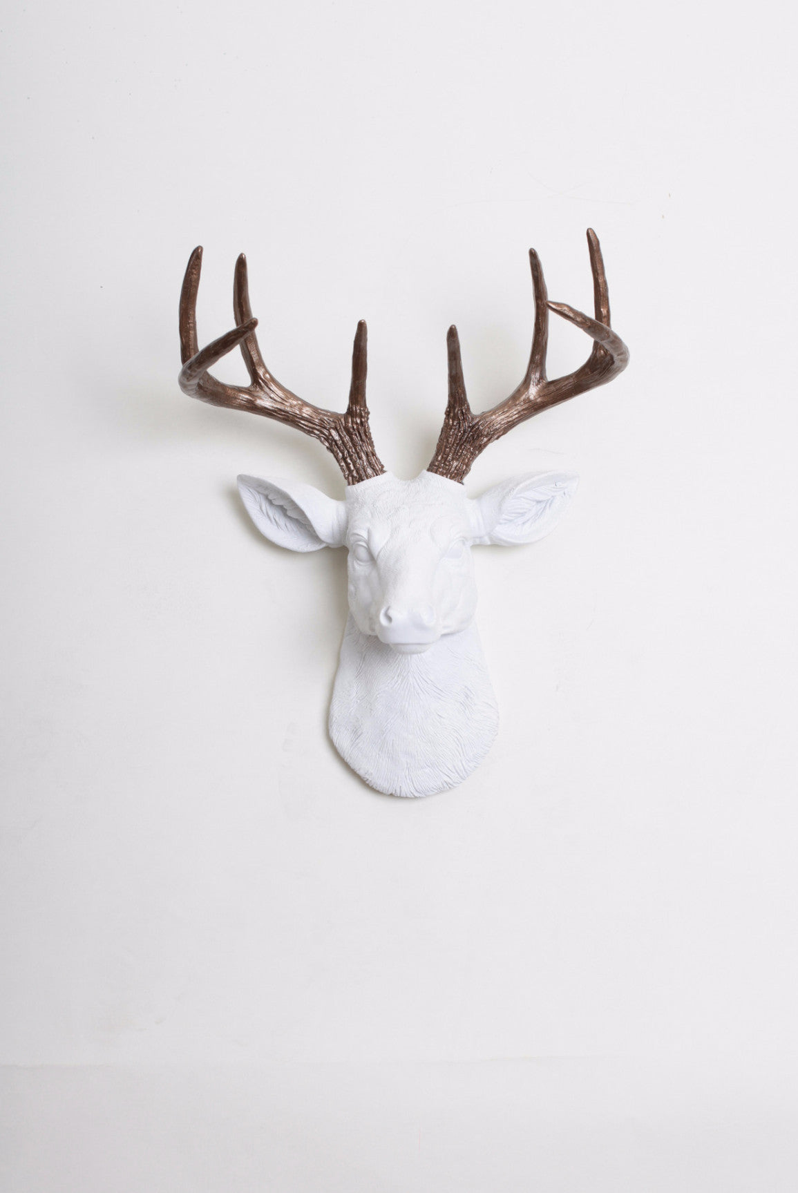 Featured image of post Christmas Reindeer Head Wall Mount - Alibaba.com offers 823 wall mounted reindeer head products.
