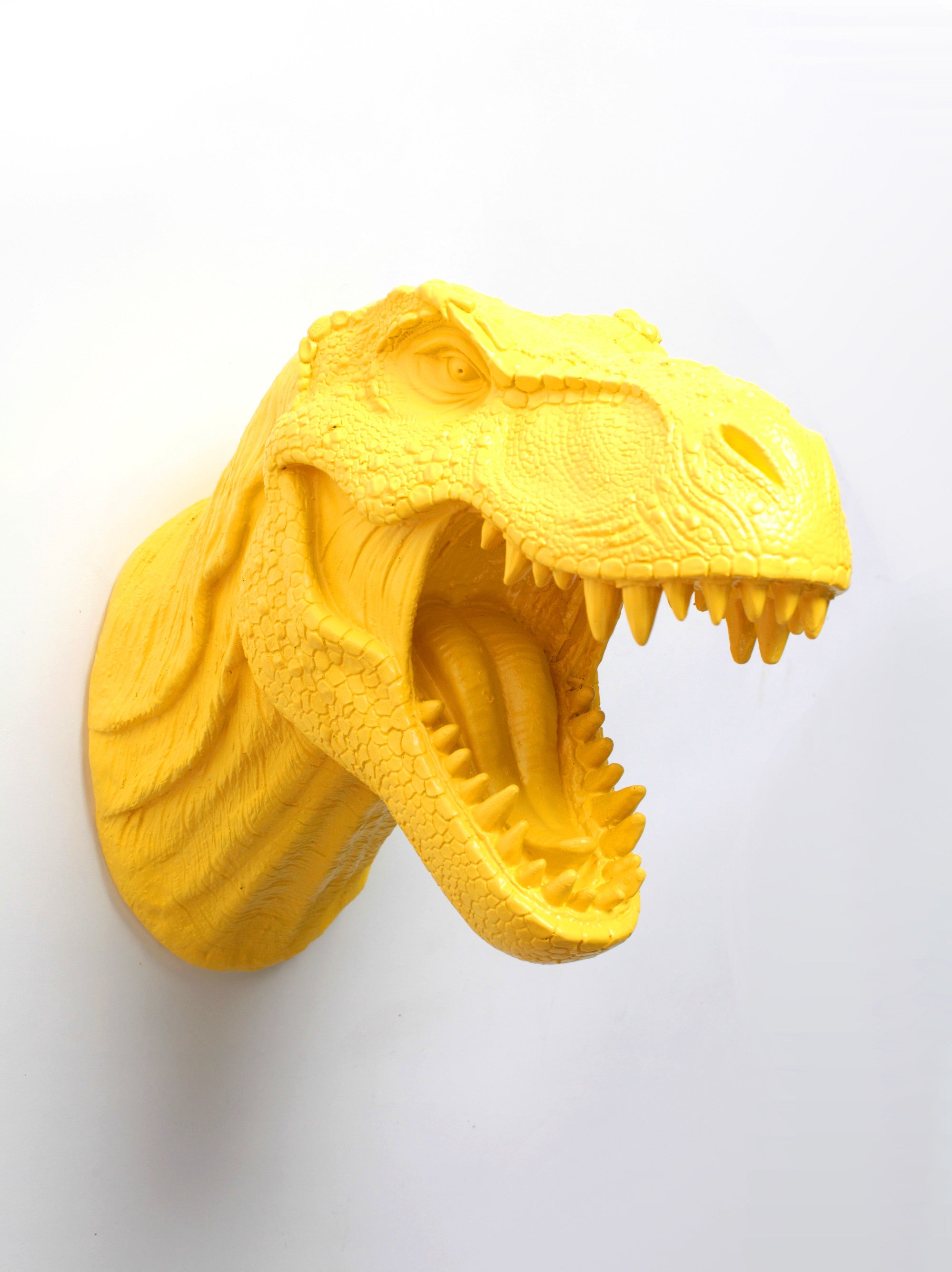 The Waze Yellow T Rex Dinosaur Head Wall Mount White Faux Taxidermy 9412