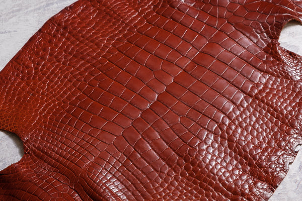 Semi Gloss Chestnut Crocodile